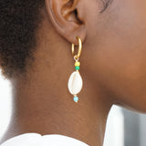 Cowrie Shell Hoop Earrings Harry