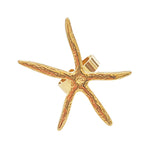 Ring Seestern