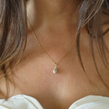 Dainty Shell Necklace Paul