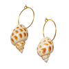 Shell Hoops Malta