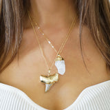 Sharktooth Necklace Phuket
