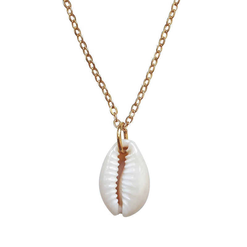 The Shell Necklace