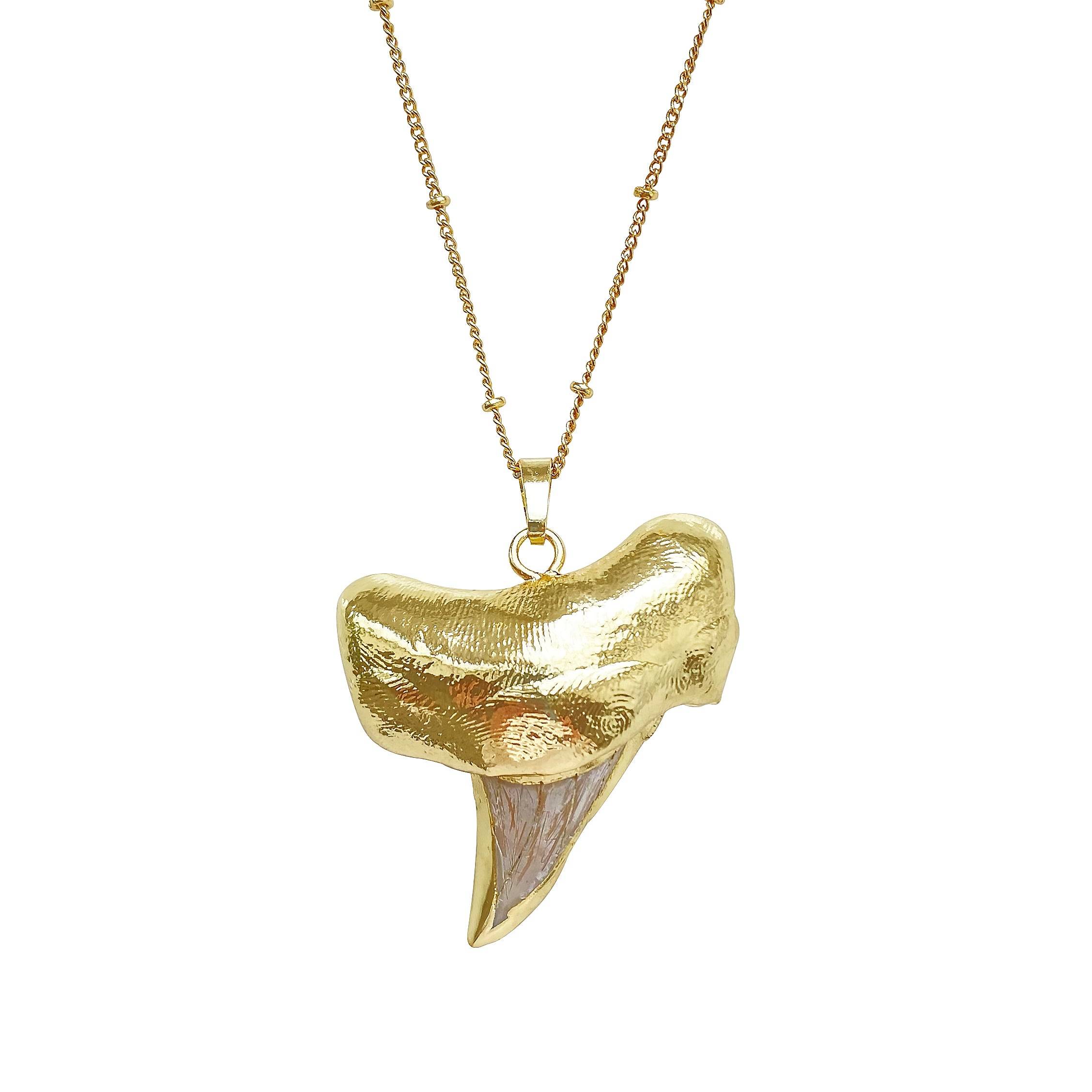 Shark Tooth Necklace Ocean
