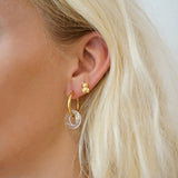 The Teddy Bear Stud Earrings